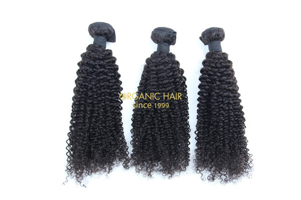 Wholesale kinky curly brazilian human hair extensions